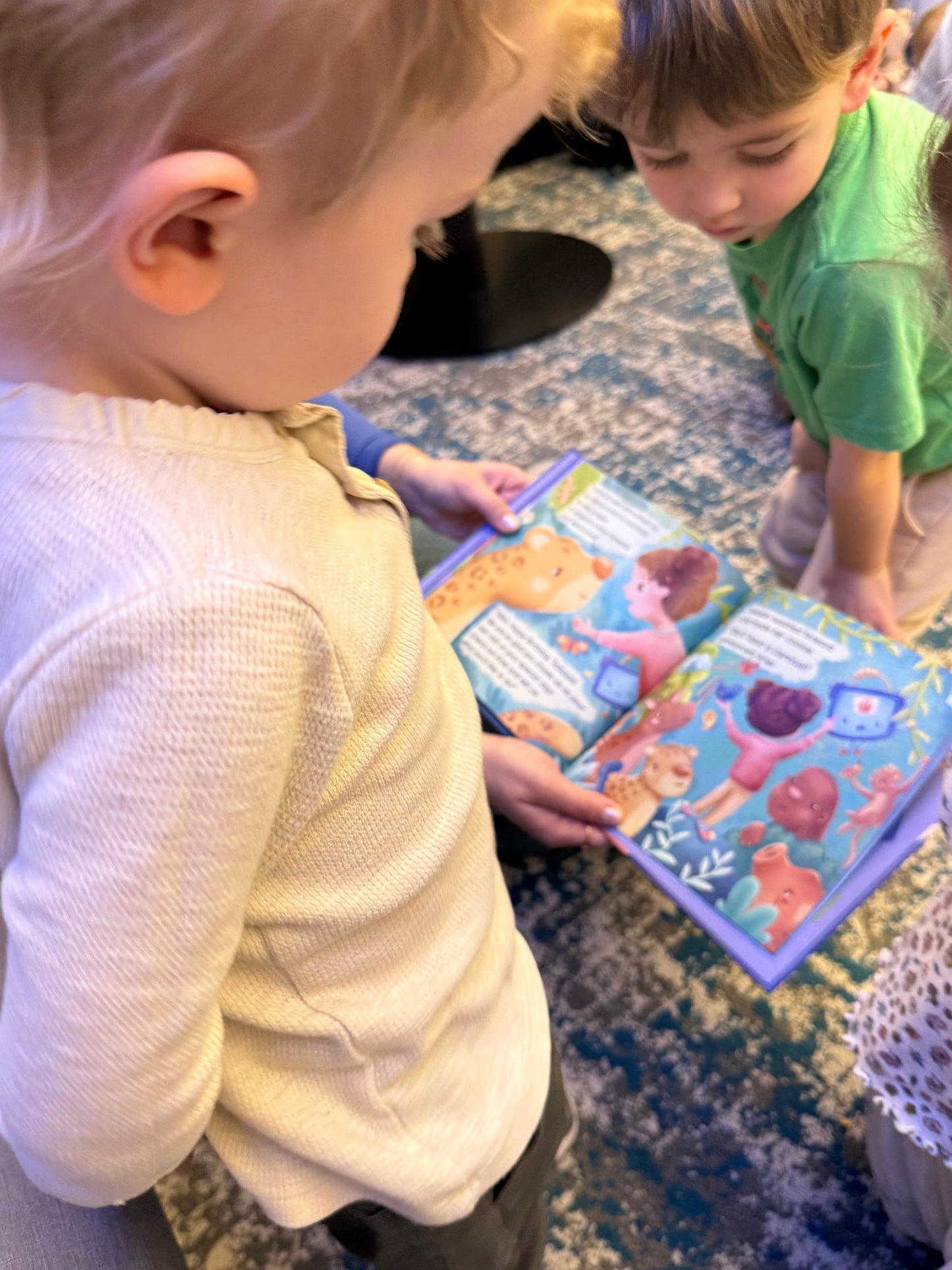 The Wish for Words Hardcover